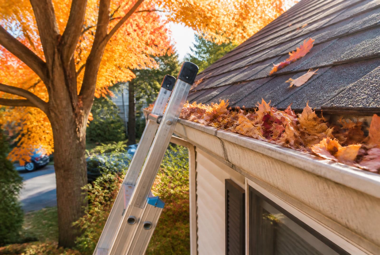 A Seasonal Roof Maintenance Routine for Pennsylvania and New Jersey